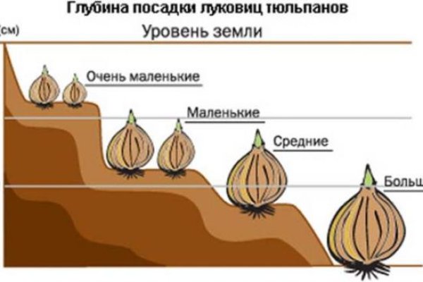 Пользователь не найден кракен