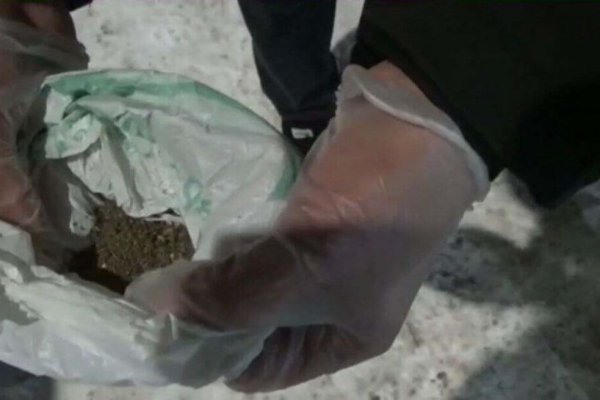Кракен актуальные