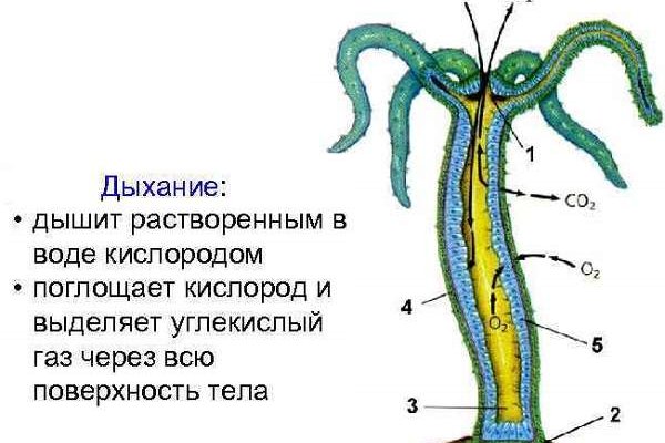 Супернет официальный сайт на русском